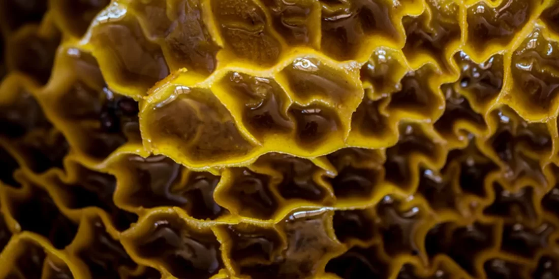 BBN_May_Blog2_Image2