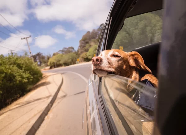 BBN_Blog_June_Week1_Image4