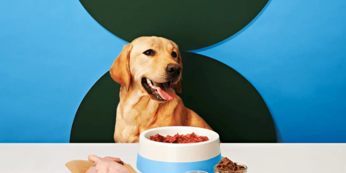 BBN bold meals BBN bold meals