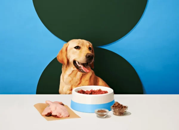 BBN bold meals BBN bold meals