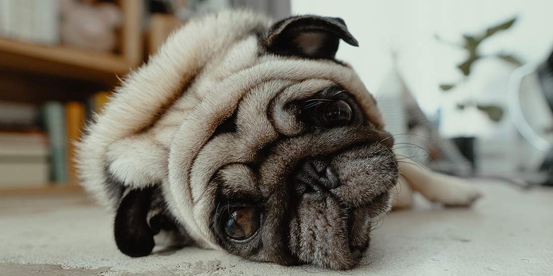 _MainImage_AnxietyBlog