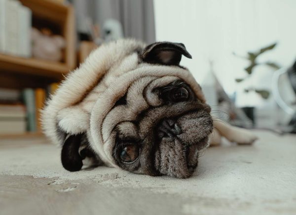 _MainImage_AnxietyBlog