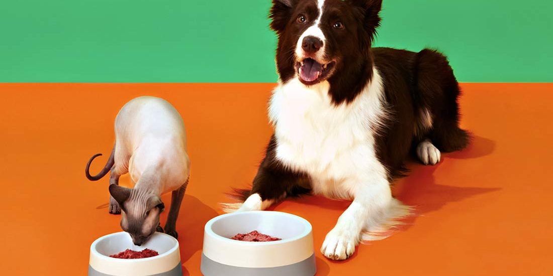 _MainImage_SwitchRawBlog