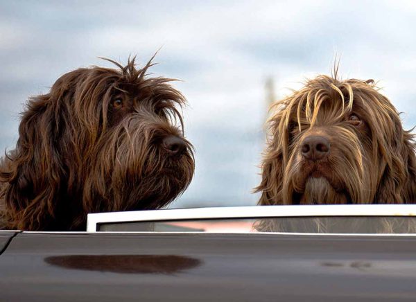 _MainImage_SepBlog (1)