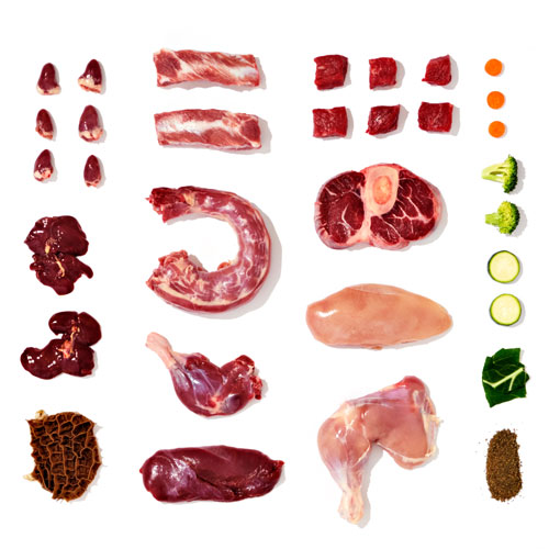 How much raw food to feed a dog Bold by Nature