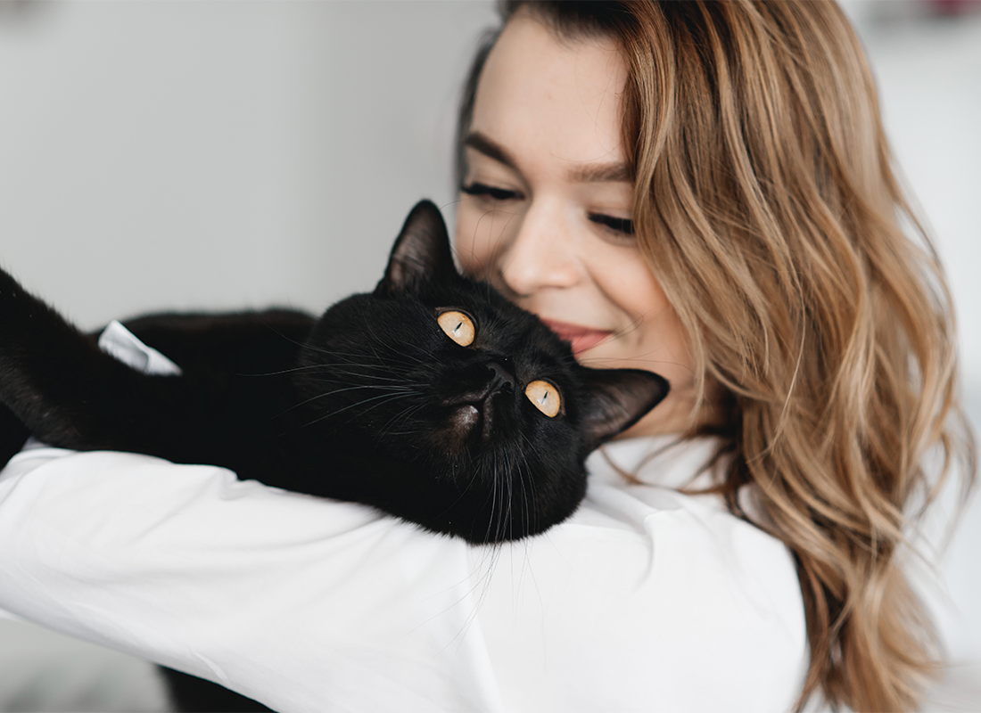 Cat Digestive Issues 101 Common Cat Digestive Problems & How to Treat