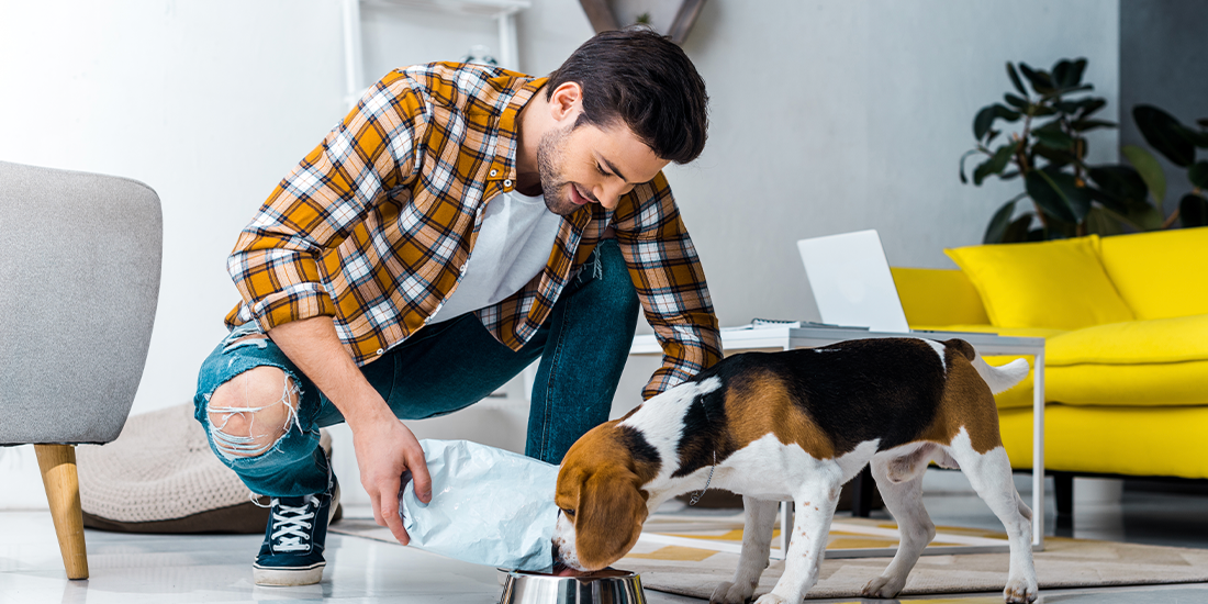 Dog Food Ingredients 101 Ingredients to Look For Ingredients to Avoid in Dog Food Bold By Nature