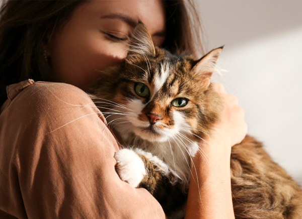 catandhuman
