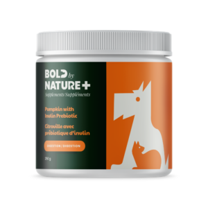 Pumpkin Supplement