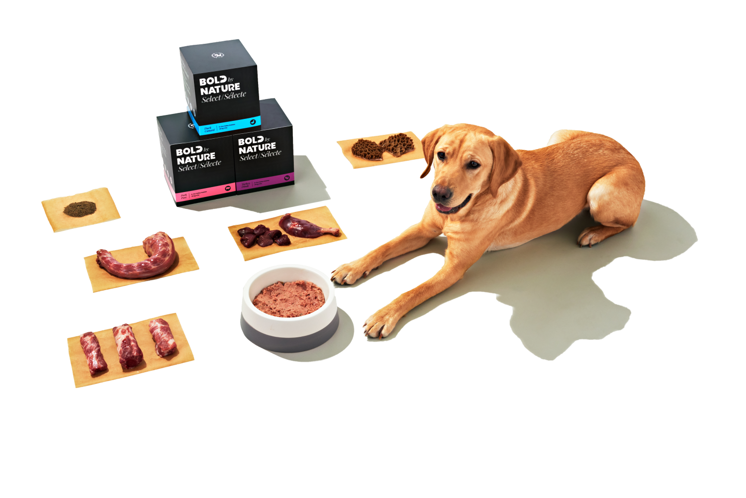 Dog and ingredients graphic