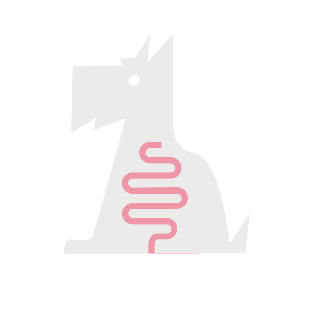 Graphic digestion