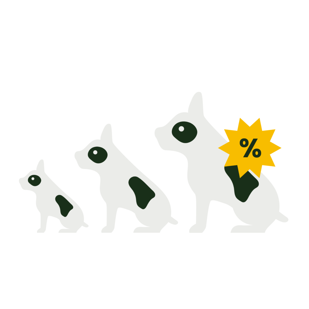 Website Graphic