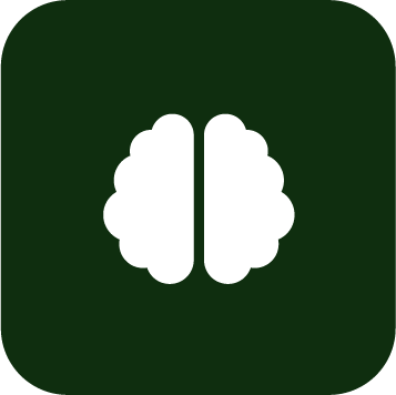 cognitive function icon