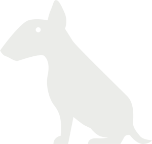 dog graphic