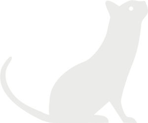 cat sitting graphic