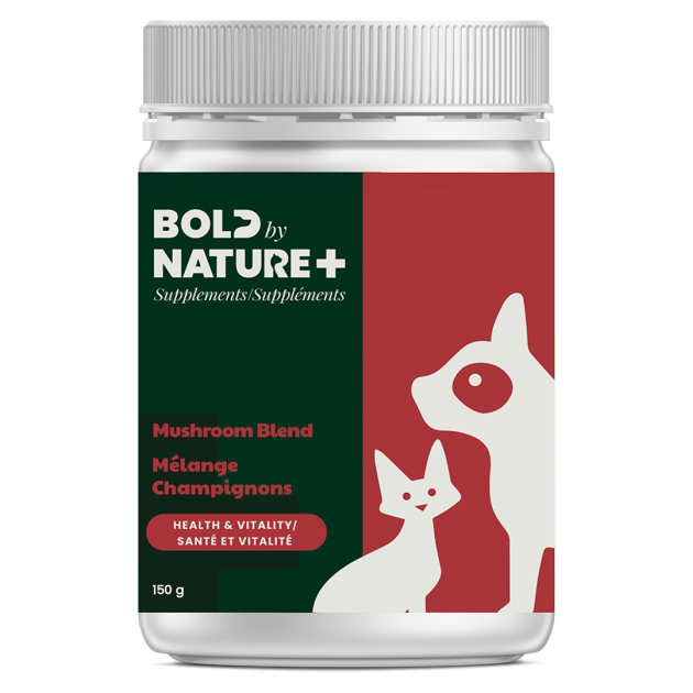 Mushroom Blend Supplement