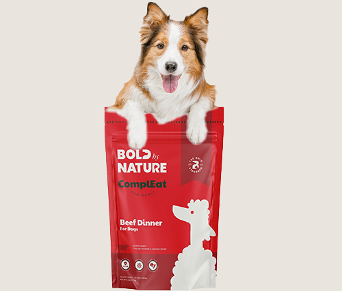 collie smiling over bold by nature beef dinner