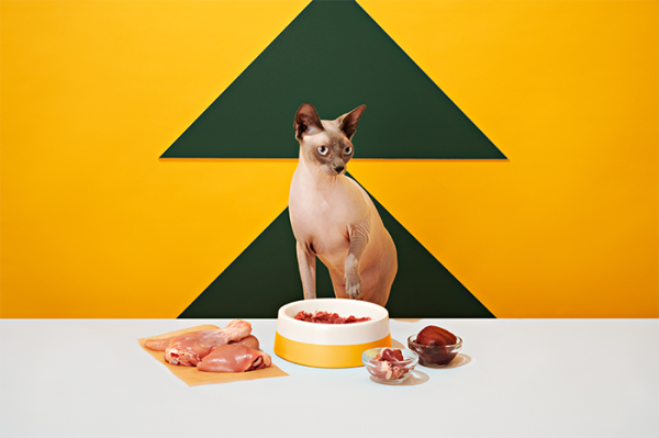 BBN Day 2 Set 1 Shot 16_886