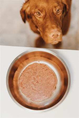 Maeve-raw-patty-bowl.png Maeve-raw-patty-bowl.png
